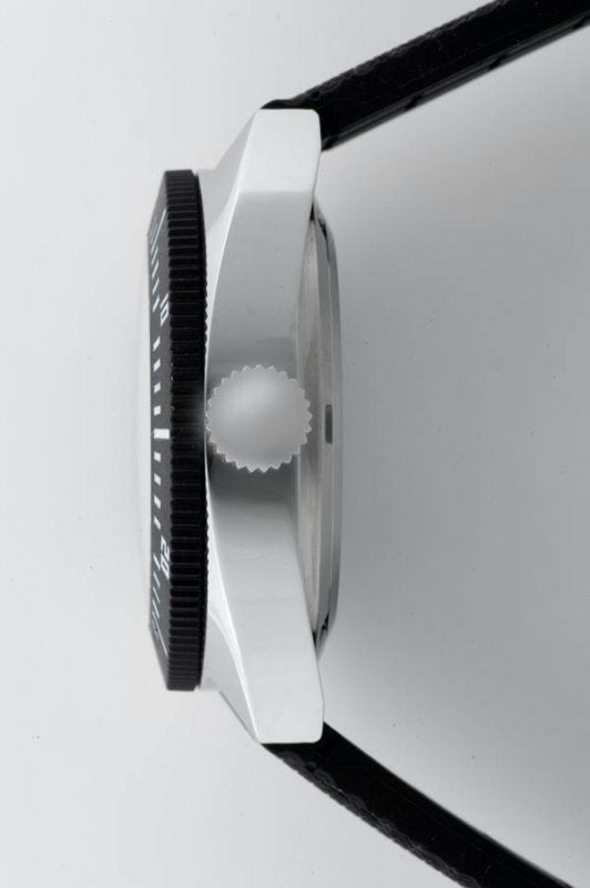 AMPHIBIA 2416-7771500