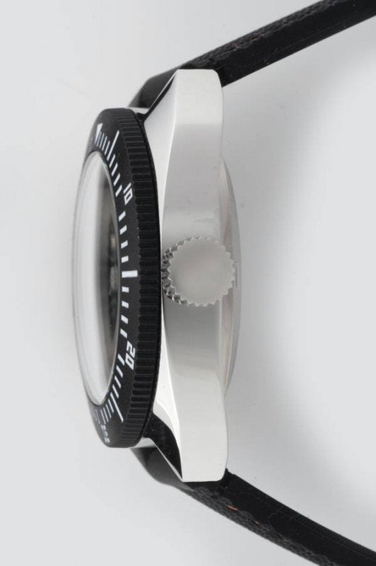 AMPHIBIA 2416-7771500